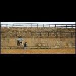 Jerash 03.JPG